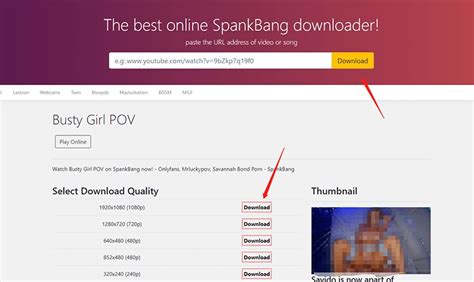 Best SpankBang Downloader